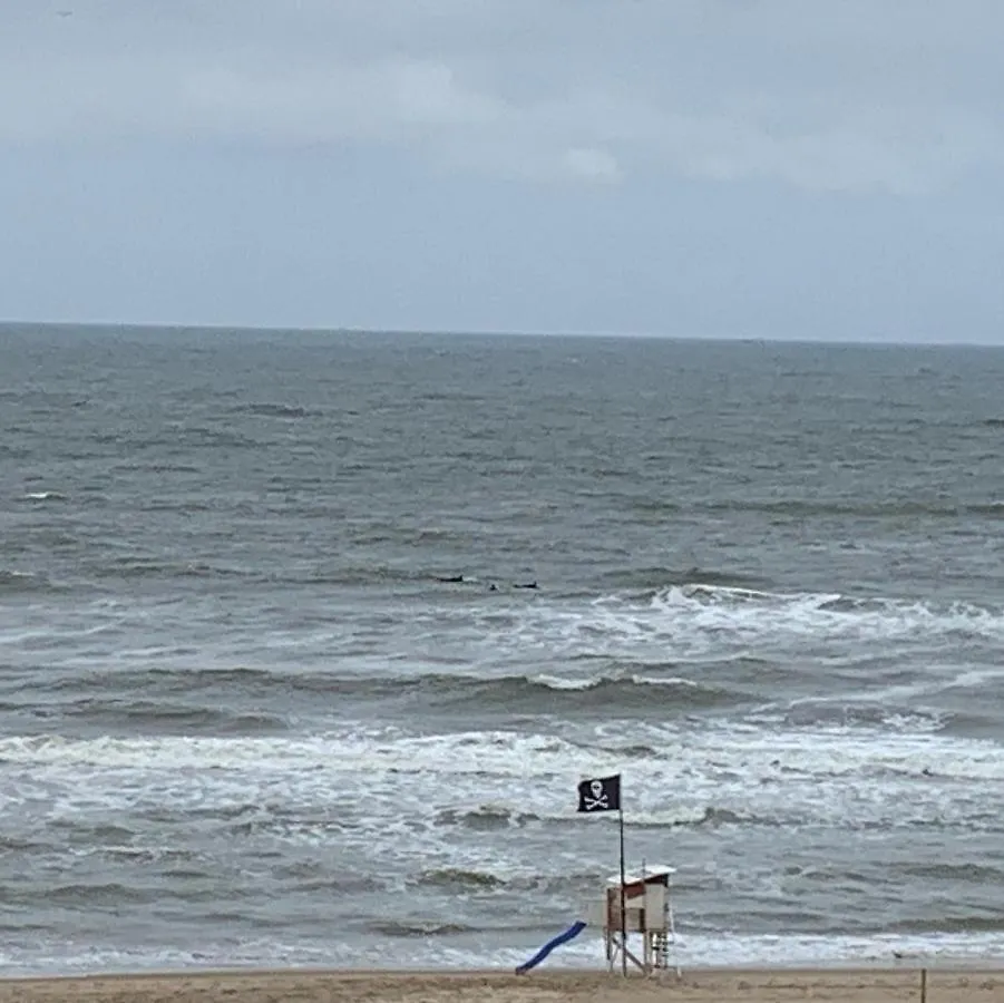 Appartement 't Souterrain Zandvoort 0*,